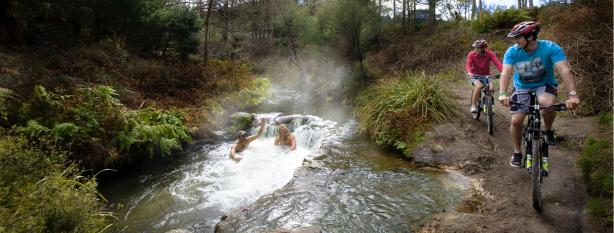 Cycling Holidays New Zealand Rotorua Accommodation