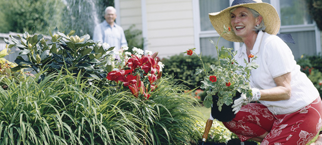 Go Gardening, Look After Me, Home hosted accommodation 