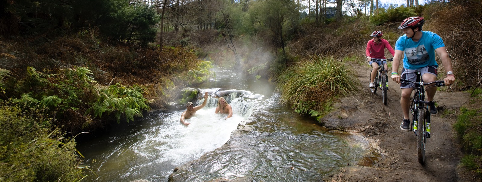 Look After Me, NZ's Homestay Network is an Official Accommodation partner for the Rotorua cycle trail, Thermal by Bike (Te Ara Ahi) - providing welcoming, affordable bike-friendly accommodation on this Cycle Trail and other Cycle Trails all around New Zealand. Ideal for cycling holidays. 