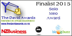 David Awards 2015 - Finalist Solo Meo award