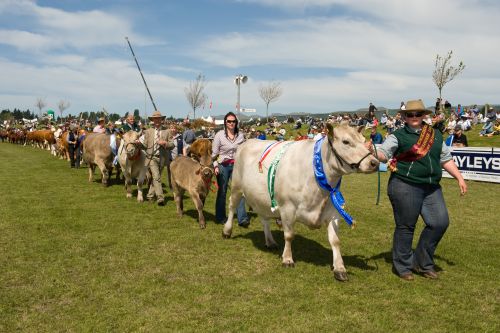 show day christchurch accommodation map holiday the show a&P show